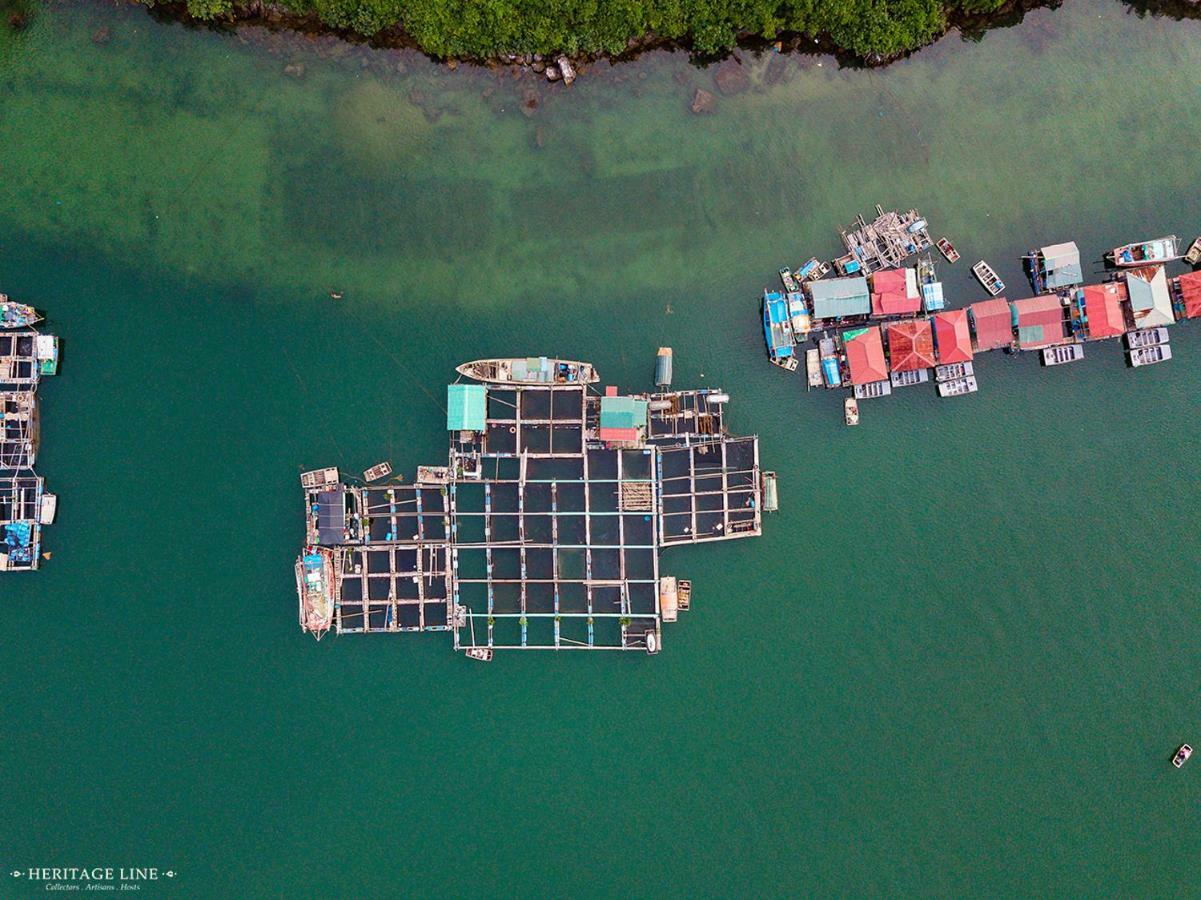 Heritage Line Violet Cruise - Halong Bay & Lan Ha Bay Ha Long Exterior foto